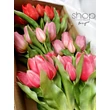 Élethű bimbós tulipán csokor - pink (7 szálas, csúcsosfejű)